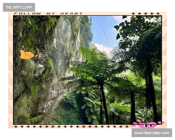 探索锦绣谷入口的十大关键要素助你顺利开启神秘之旅 探索锦绣谷入口的十大关键要素助你顺利开启神秘之旅