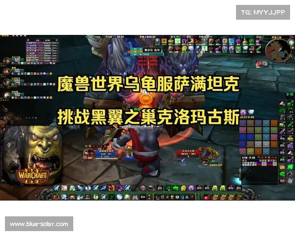 如何有效应对黑翼之巢挑战提升自身战斗力与策略技巧 如何有效应对黑翼之巢挑战提升自身战斗力与策略技巧