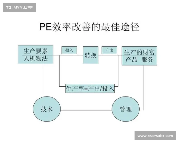工程师职业成长路径中技能点高效优化与核心竞争力提升策略 工程师职业成长路径中技能点高效优化与核心竞争力提升策略