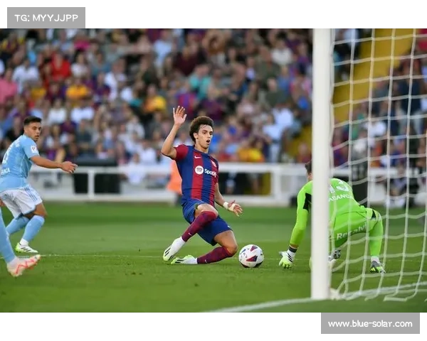 如何培养西甲联赛未来的足球巨星塑造新一代足球英雄之路