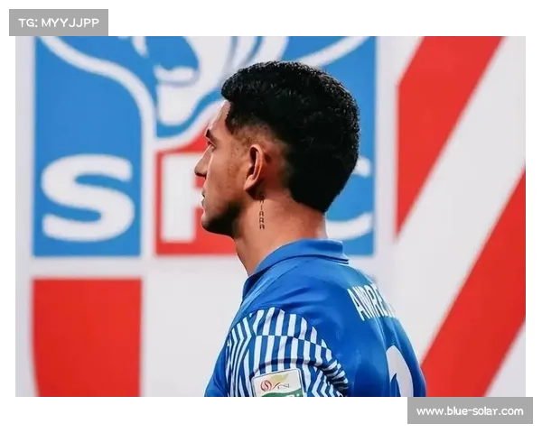 如何评估申花绯闻外援的转会潜力及其可能性分析